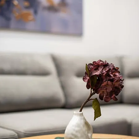 Super Center Apartament *