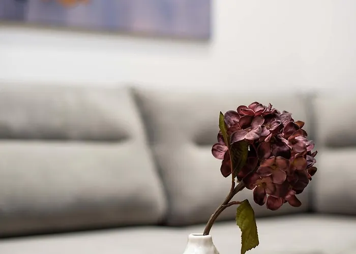 Super Center Apartment *